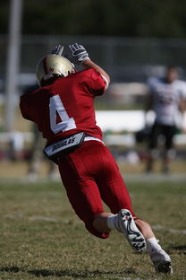 开云体育app在线-英超球队边路防守压迫与对手传中成功率之间的对比研究，英超十佳防守